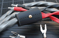 Wireworld Equinox 10 speaker cable