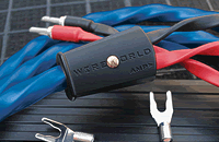 Wireworld Oasis 10 speaker cable