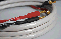 Wireworld Soltice 10 speaker cable